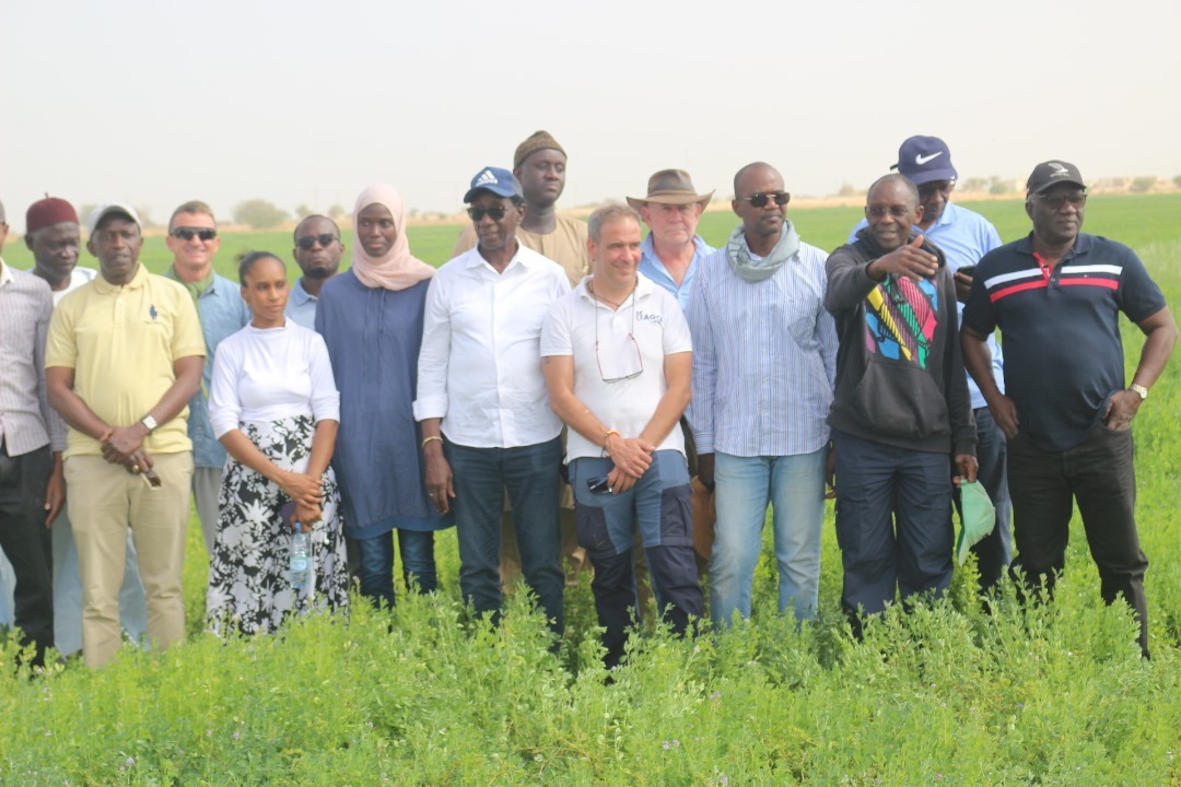 Visite des fermes de la Teranga par les membres du CIS